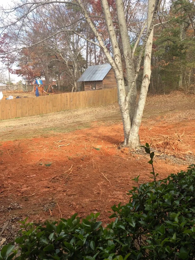 Slide of The Pink Plumber