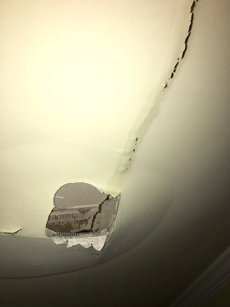 Slide of The Pink Plumber