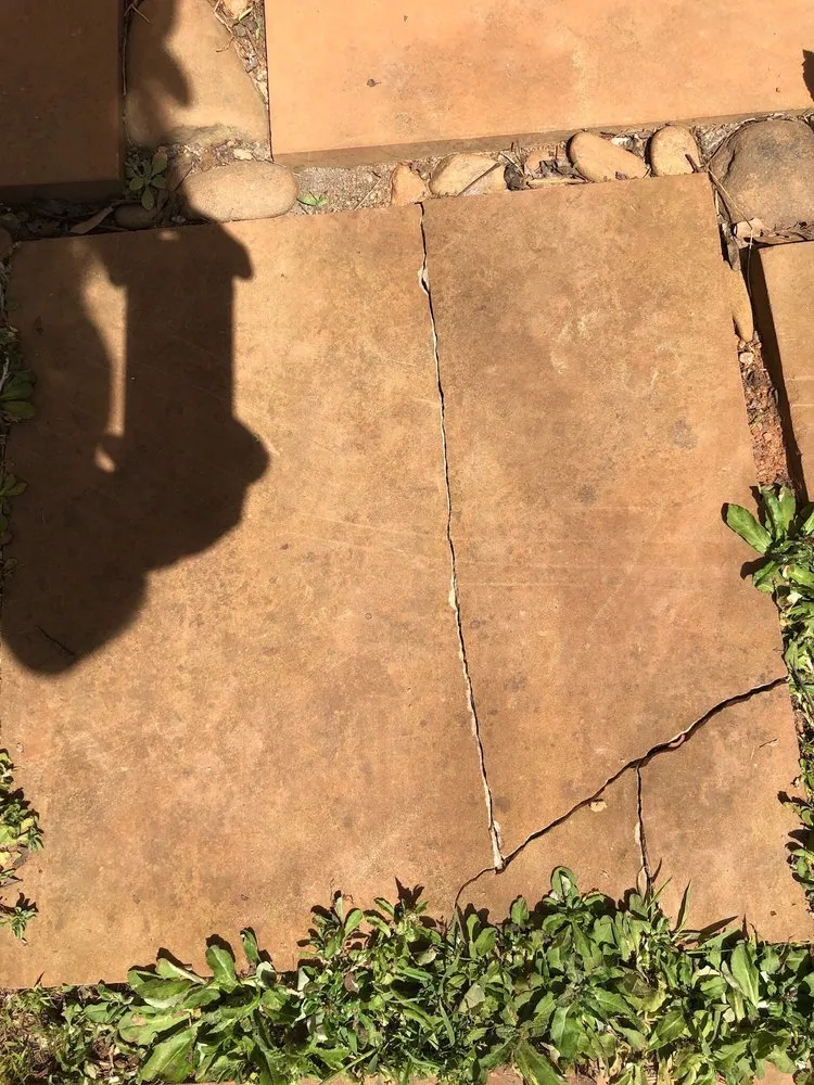 Slide of The Pink Plumber