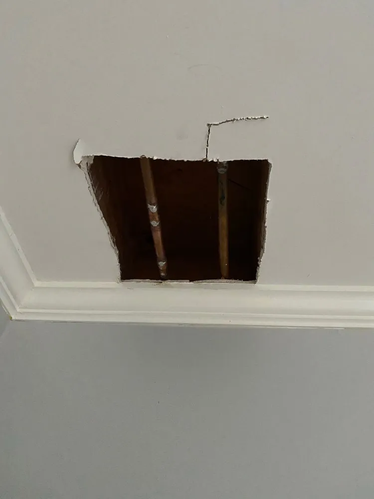 Slide of The Pink Plumber