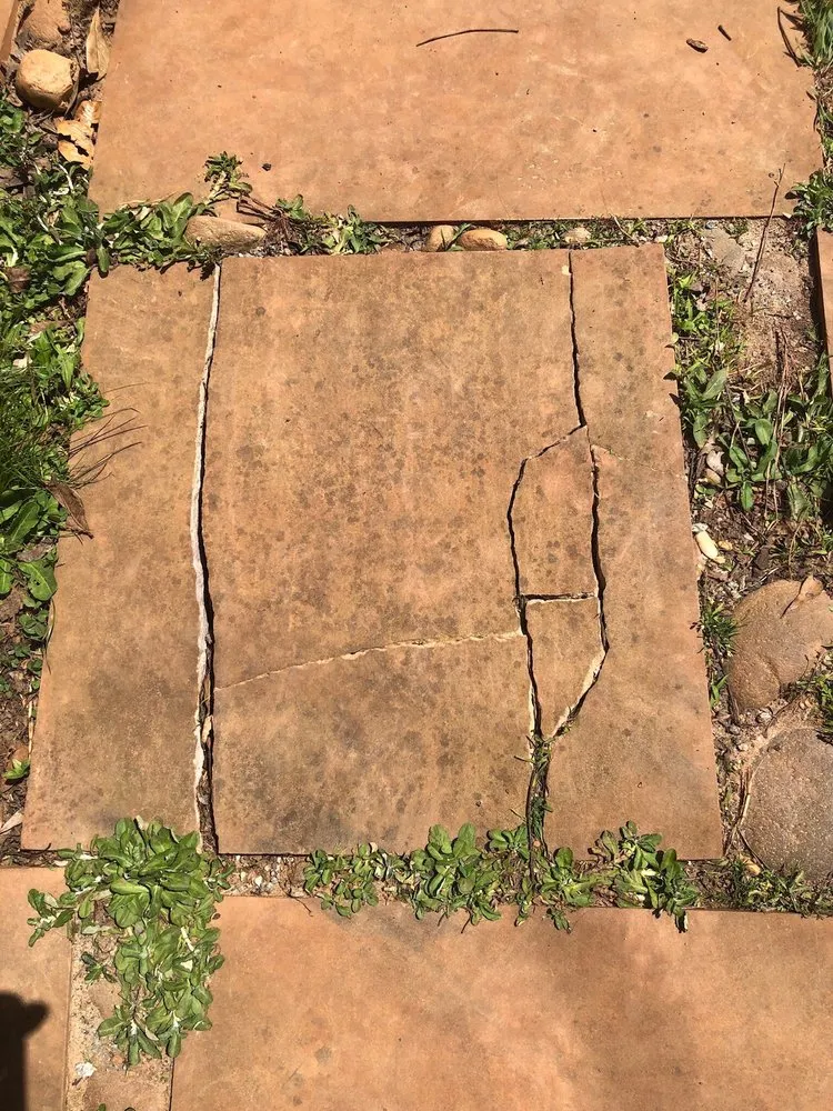 Slide of The Pink Plumber