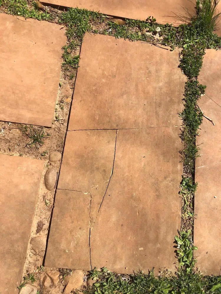 Slide of The Pink Plumber