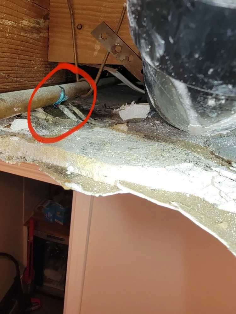 Slide of The Pink Plumber