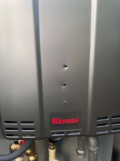 Slide of The Pink Plumber