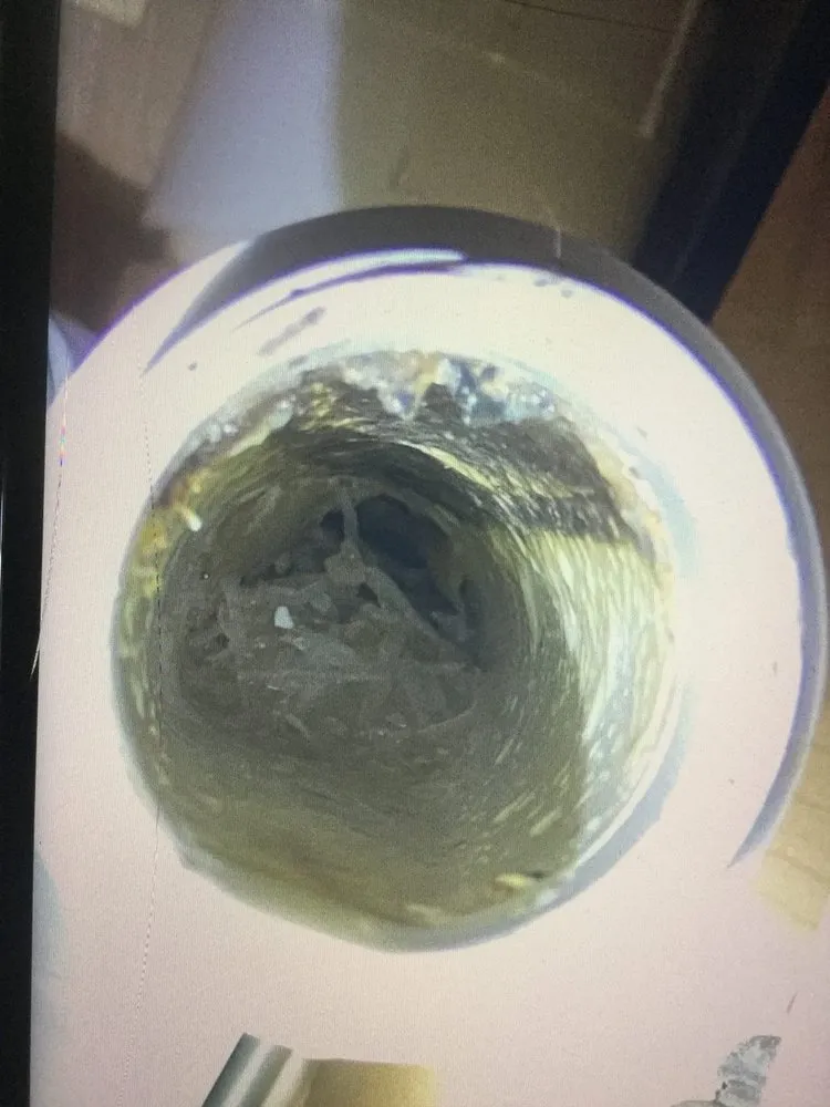 Slide of The Pink Plumber