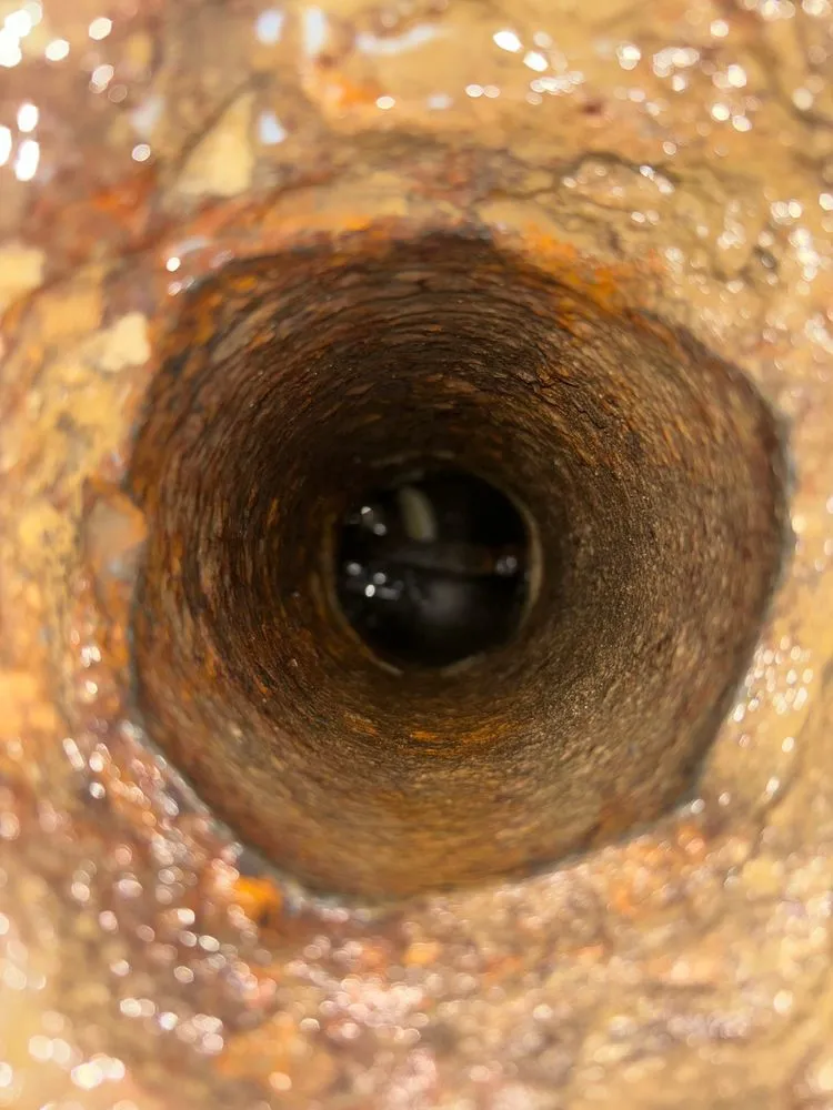 Slide of The Pipe Doctor Plumbing & Drain