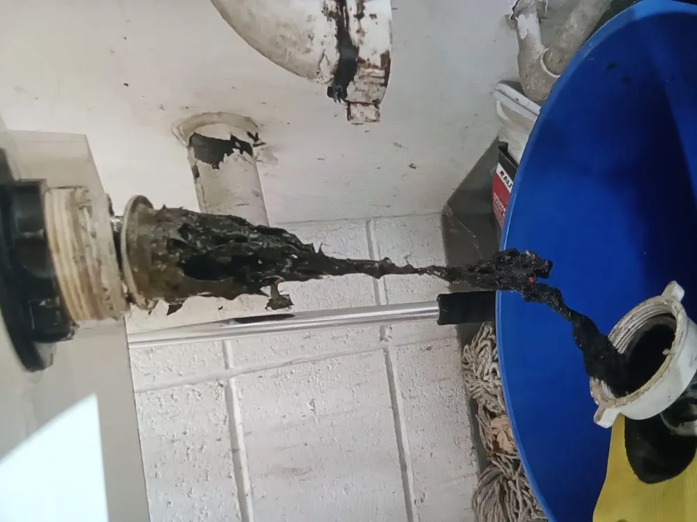 Quality drain cleaning in Alexandria, VA by The Pipe Doctor Plumbing & Drain