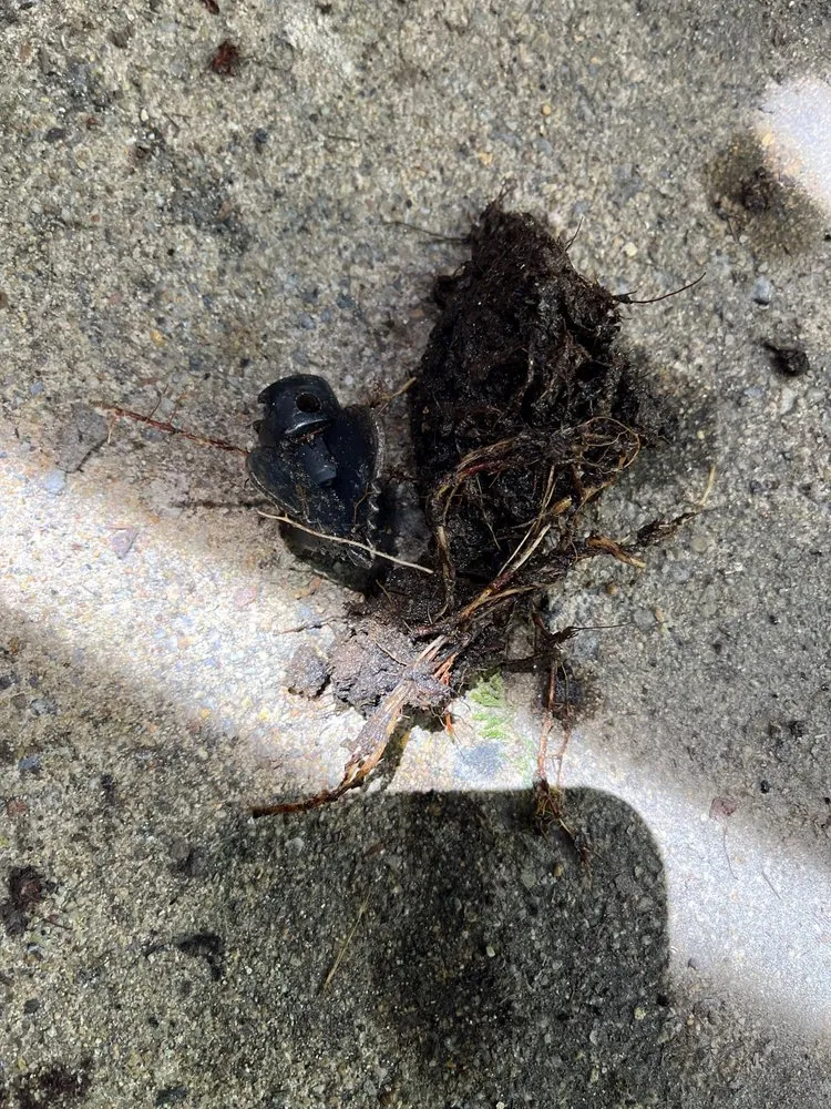 Emergency emergency plumbing experts serving Alexandria, VA - The Pipe Doctor Plumbing & Drain