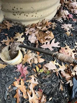 The Pipe Doctor Plumbing & Drain Logo