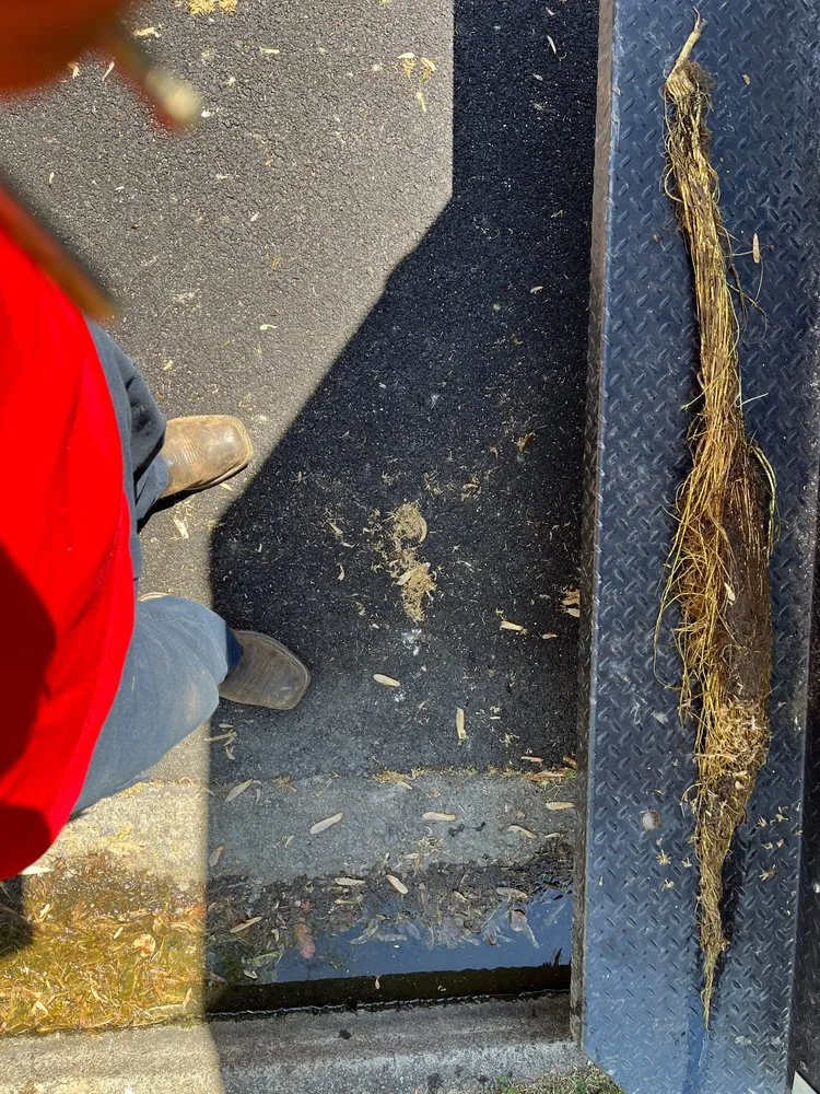 Slide of The Pipe Doctor Plumbing & Drain