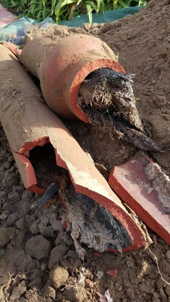 Emergency leak detection for homes in Torrance, CA by The Pipe Doctor Plumbing