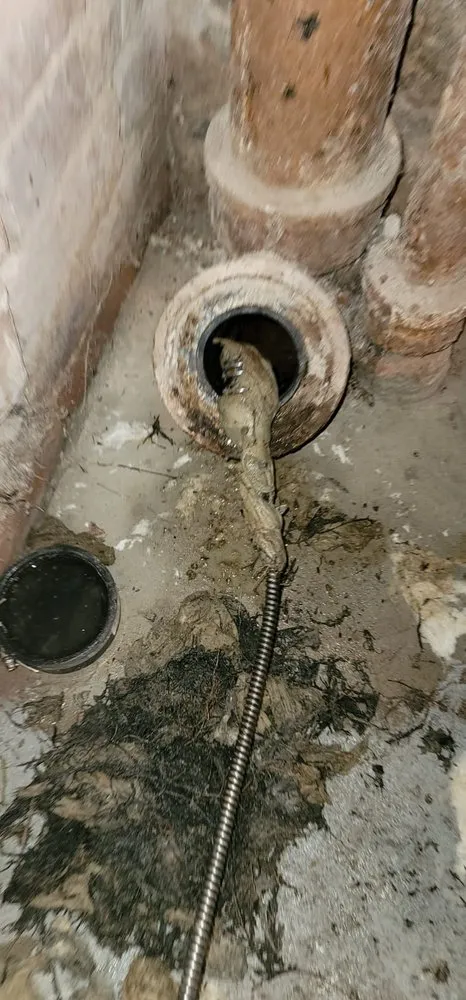 Slide of The Pipe King