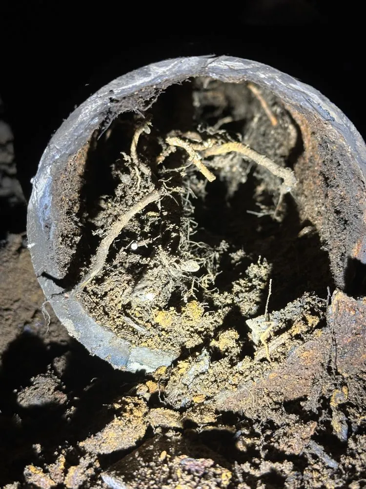 Slide of The Piping Company