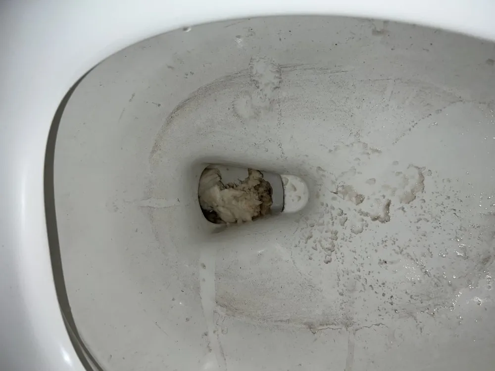 Slide of The Plug Plumber