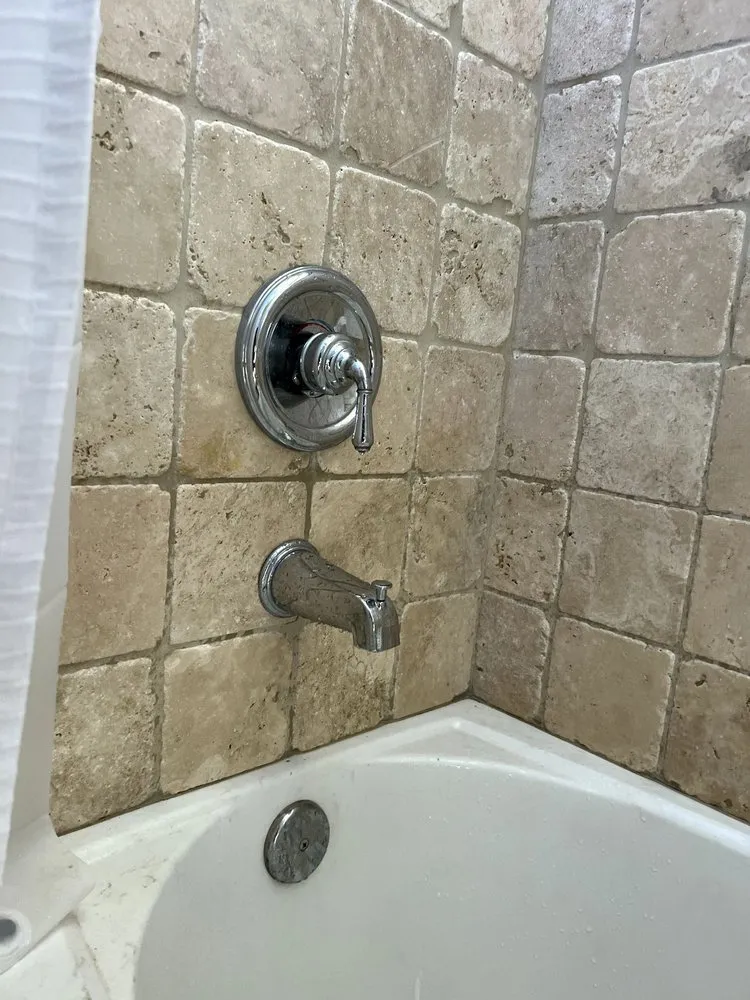 Slide of The Plug Plumber