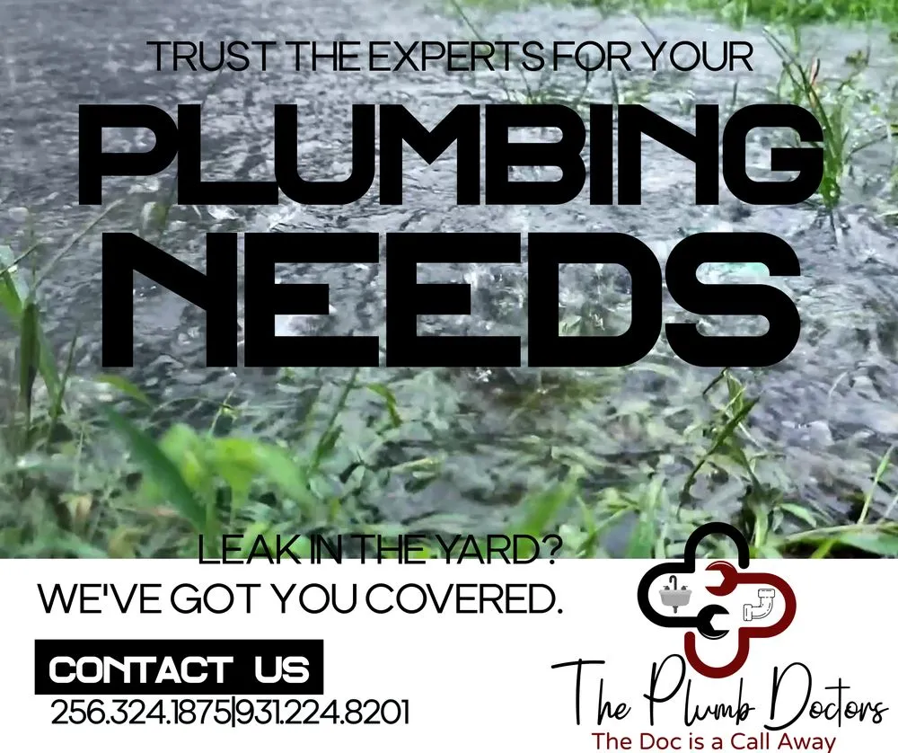 Slide of The Plumb Doctors