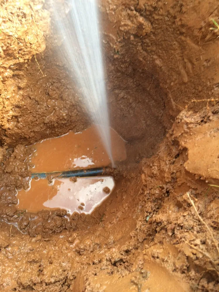 Slide of The Plumbarius Company