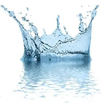 Slide of The Plumbarius Company