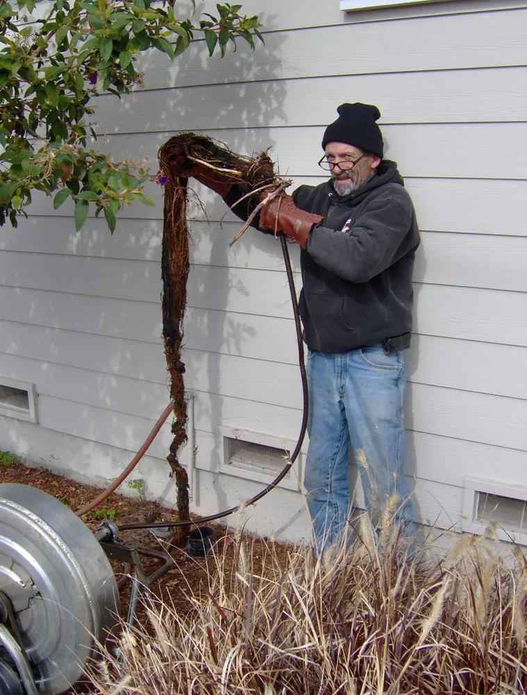 Slide of The Plumber