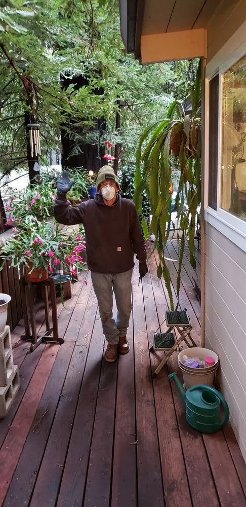 Slide of The Plumber