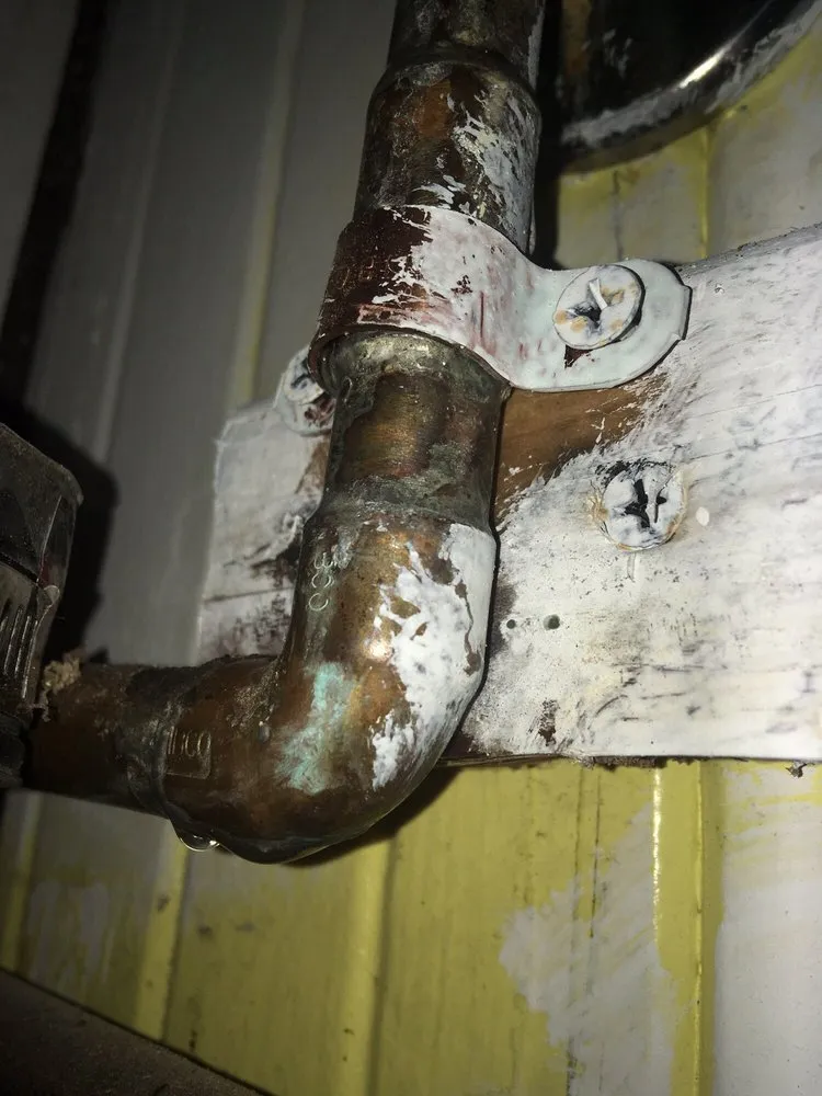 Slide of The Plumber