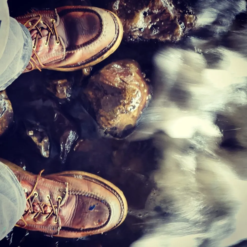 Slide of The Plumber