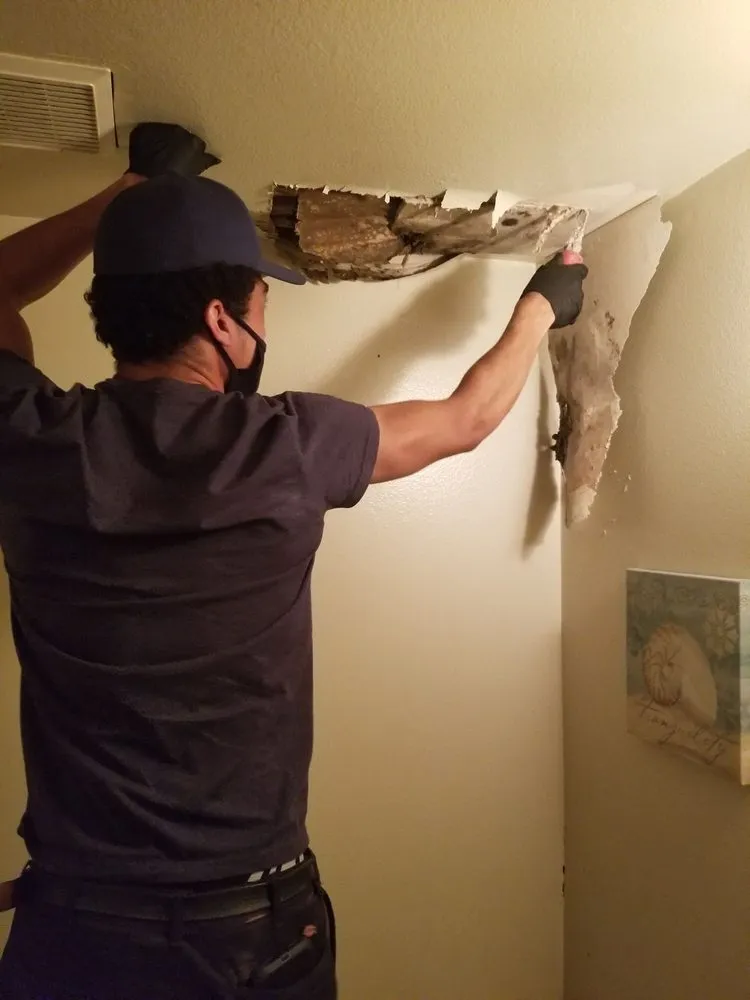 Slide of The Plumber