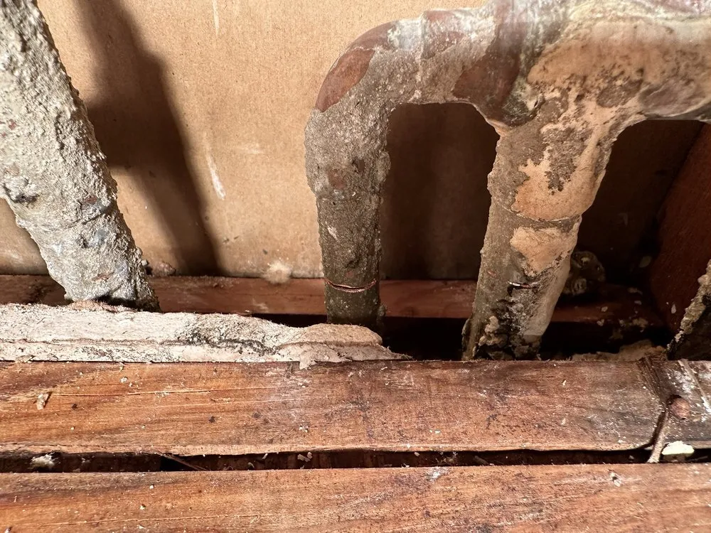 Slide of The Plumber