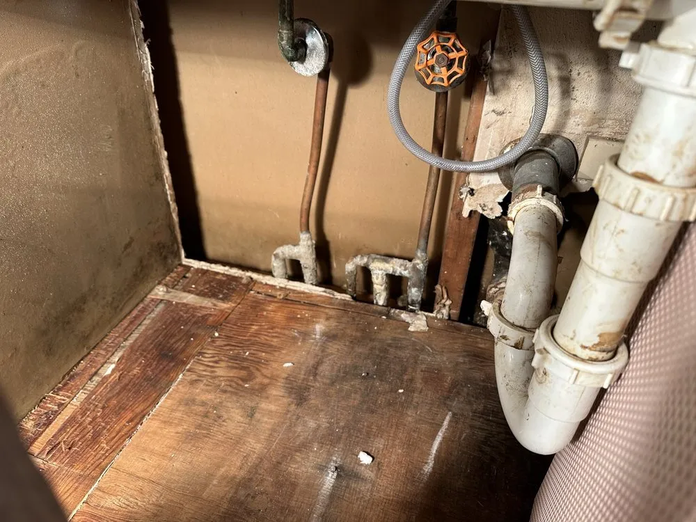 Slide of The Plumber