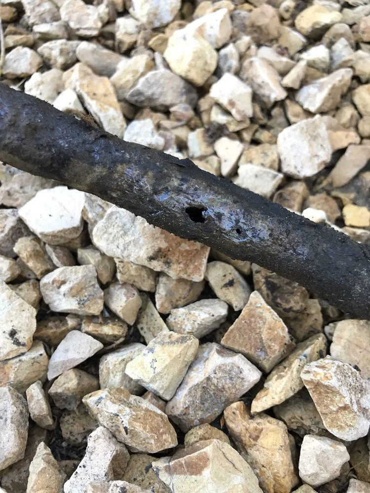 Slide of The Plumber