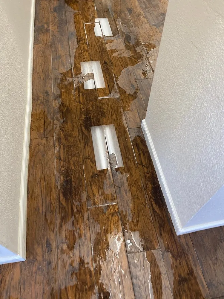 Slide of The Plumber