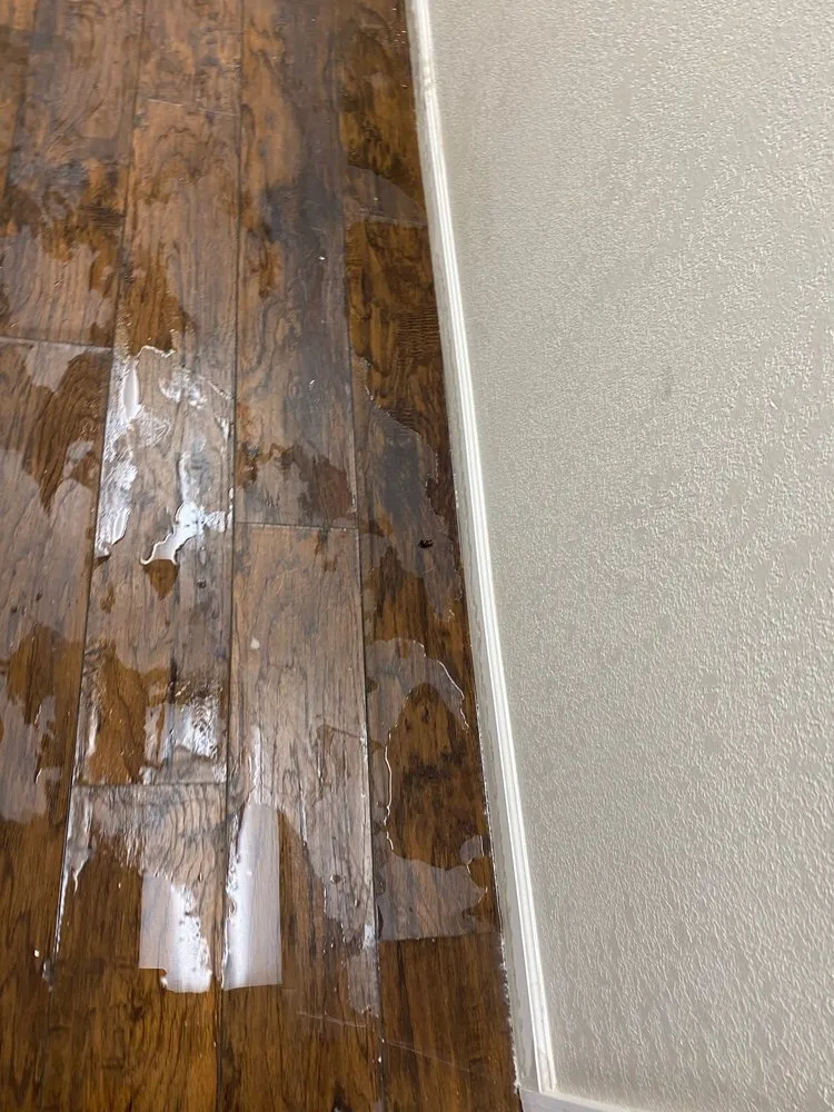 Slide of The Plumber