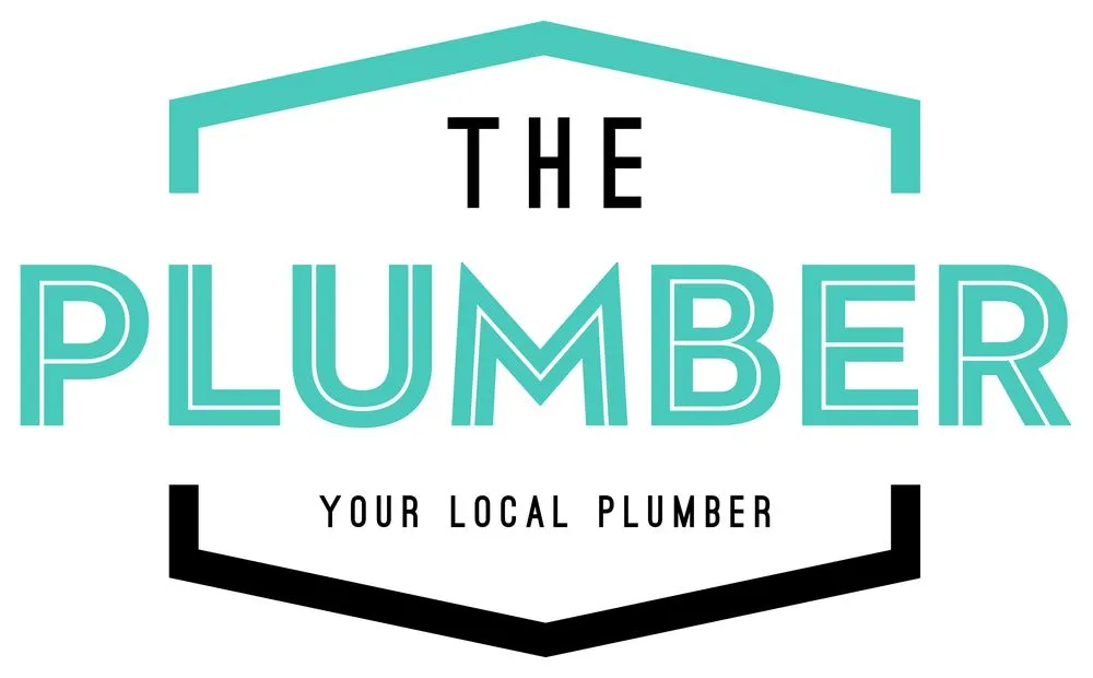 Slide of The Plumber