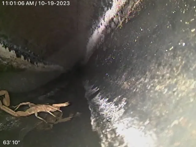 Slide of The Plumber