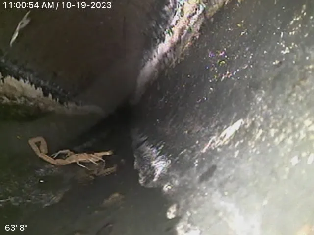 Slide of The Plumber