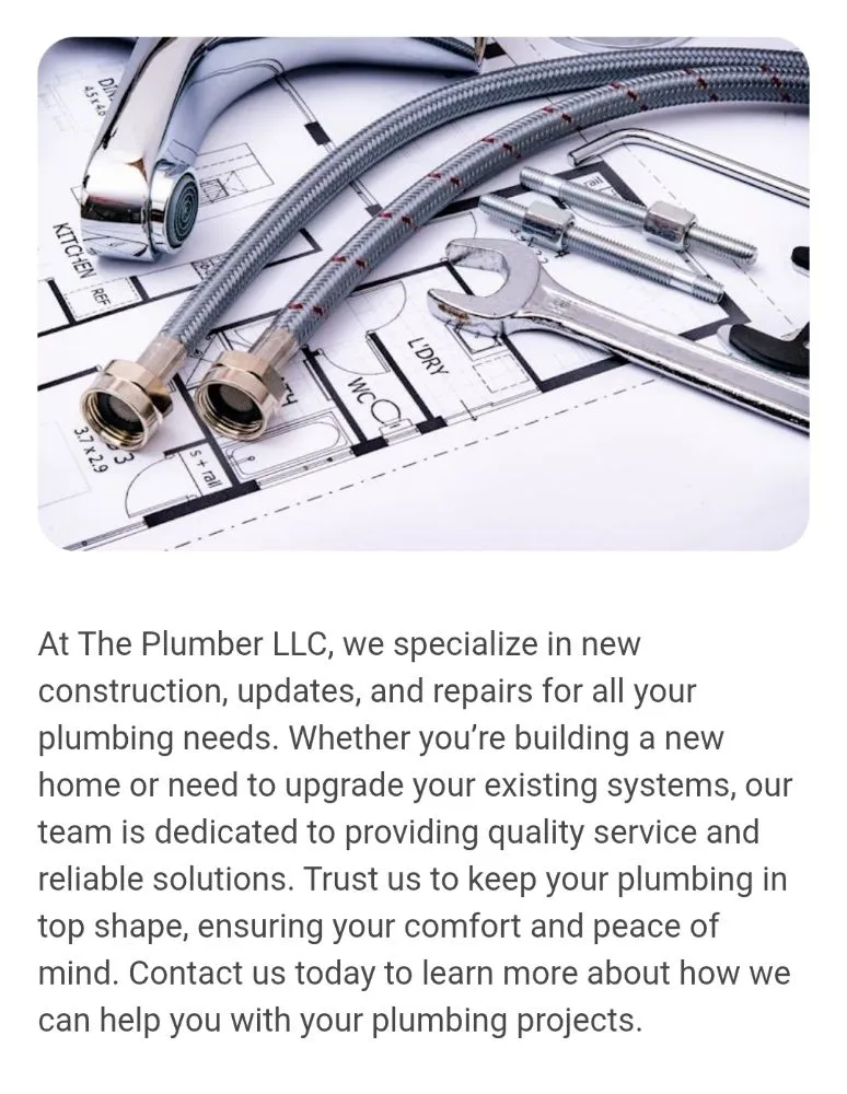 Slide of The Plumber