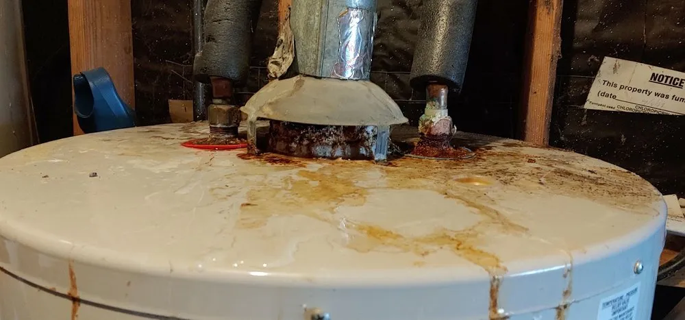 Slide of The Plumber