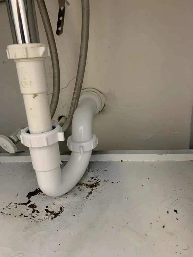 Slide of The Plumber