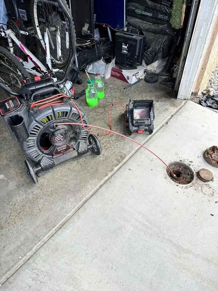 Slide of The Plumber Shark