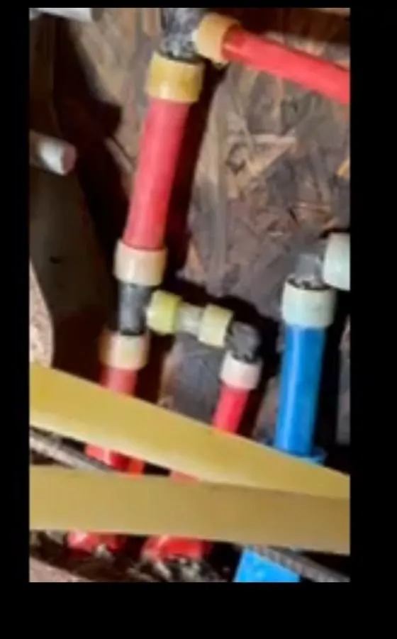 Slide of The Plumber Shark