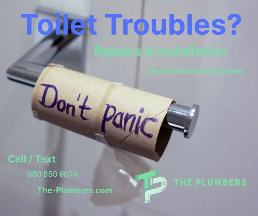 Slide of The Plumbers