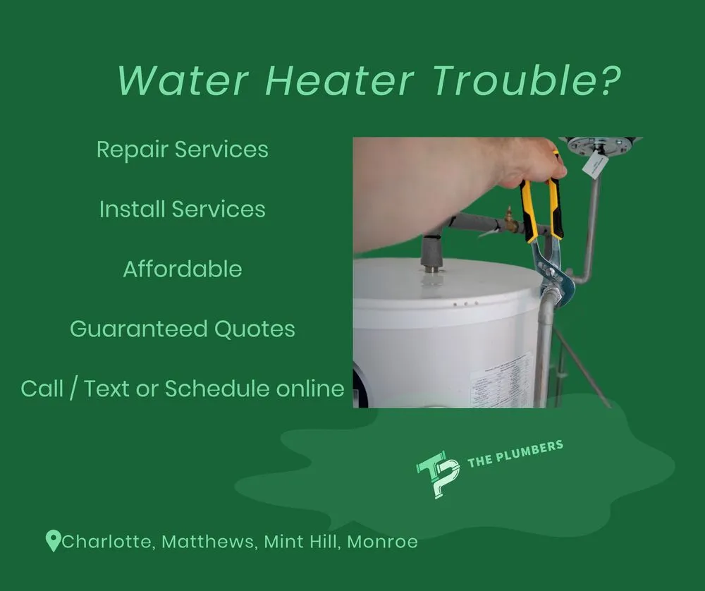 Slide of The Plumbers