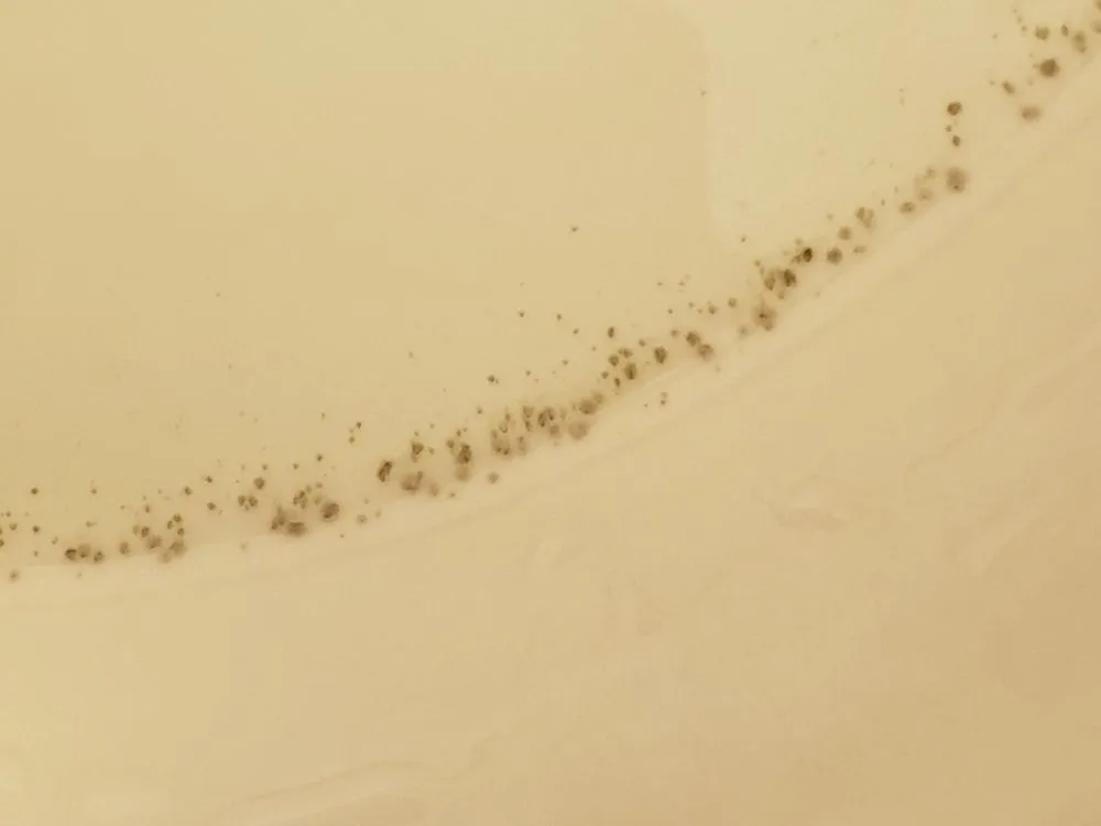 Slide of The Plumbers Connection