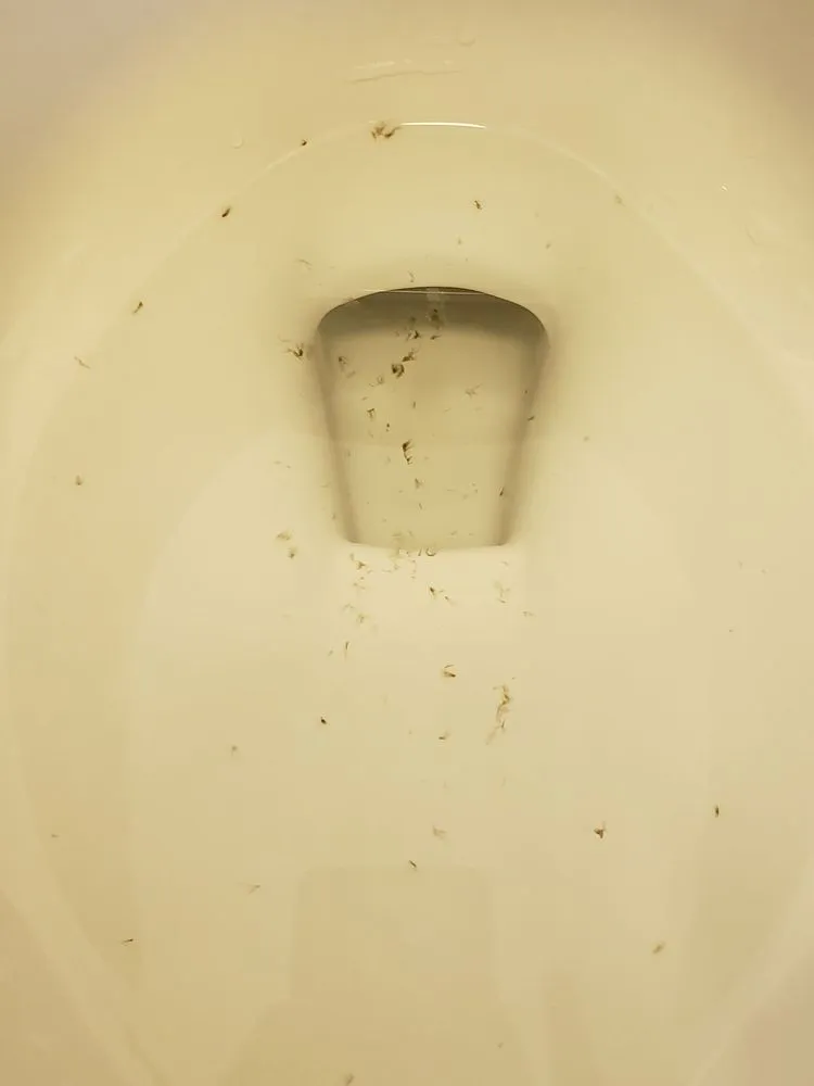 Slide of The Plumbers Connection