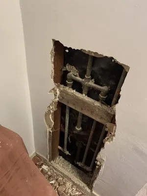 The Plumbers Son Logo