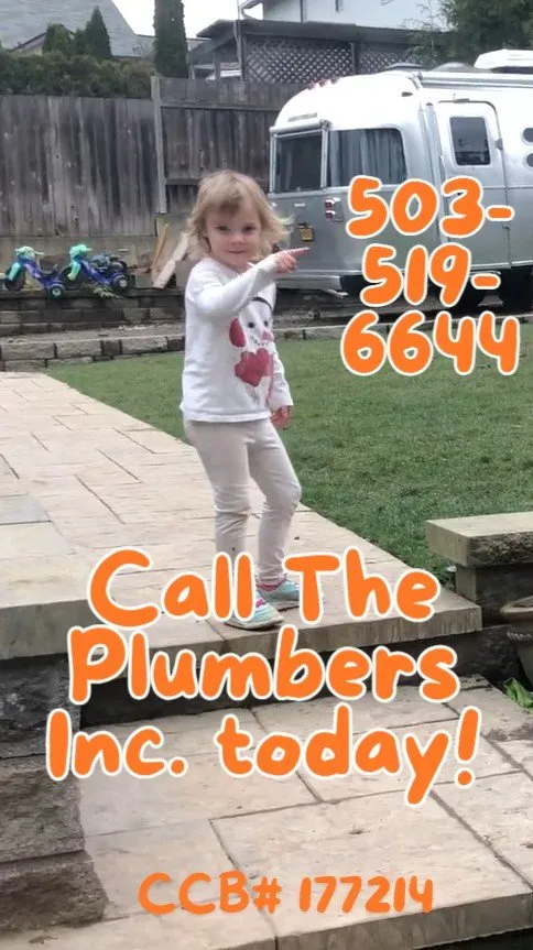 Slide of The Plumbers