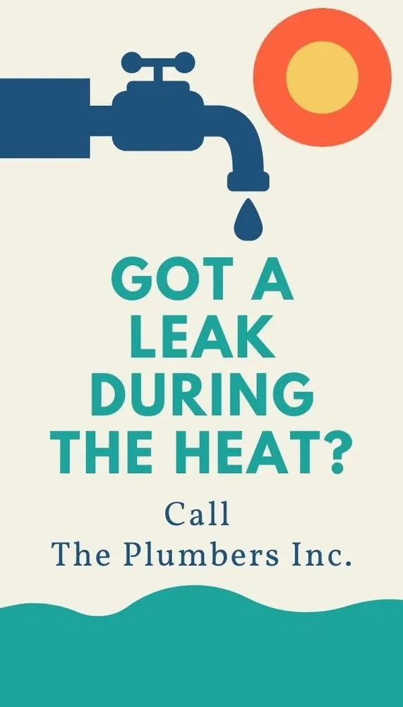 Slide of The Plumbers