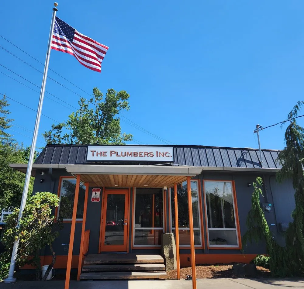 Slide of The Plumbers