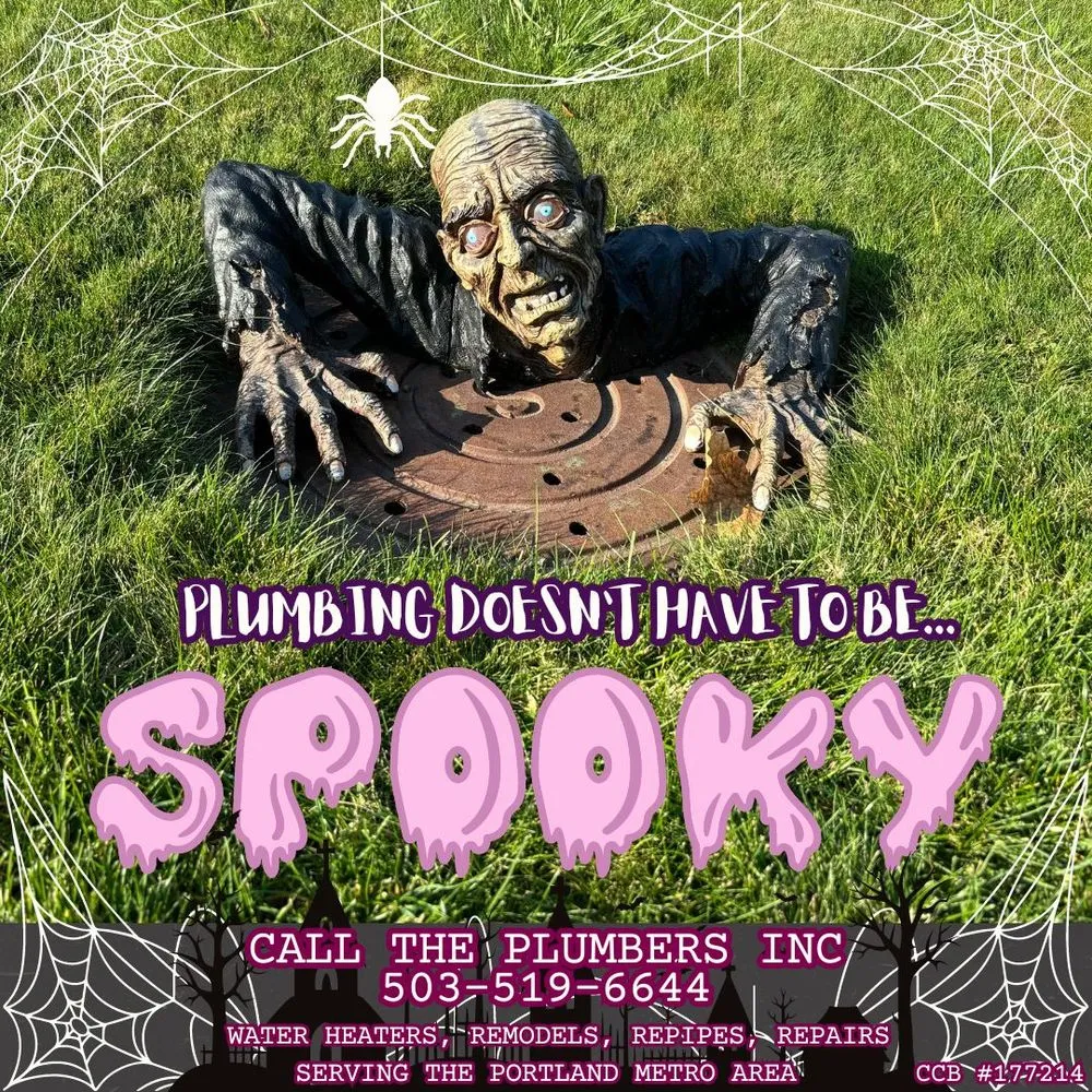 Slide of The Plumbers