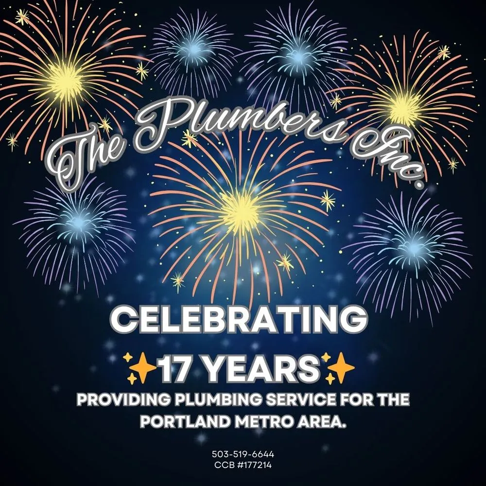 Slide of The Plumbers